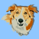 Custom Pet Memorial Vector Art