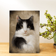 Custom Pet Oil Painting