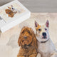 Watercolor Pet Portrait Puzzle