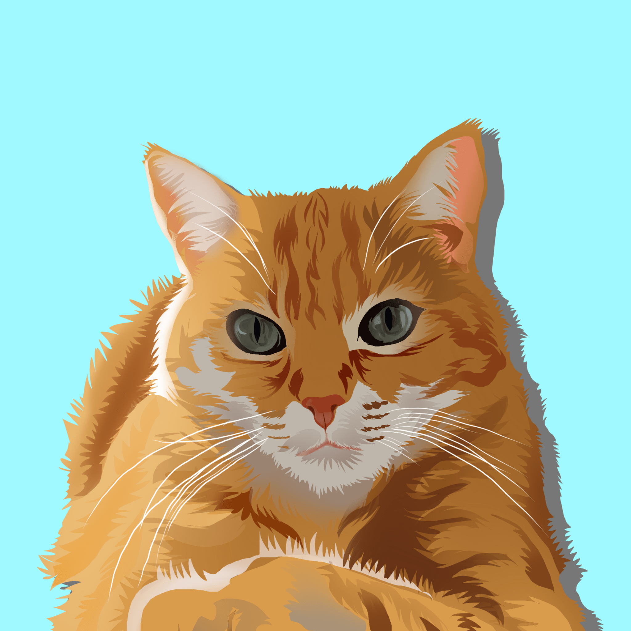 Custom Cat Vector Art