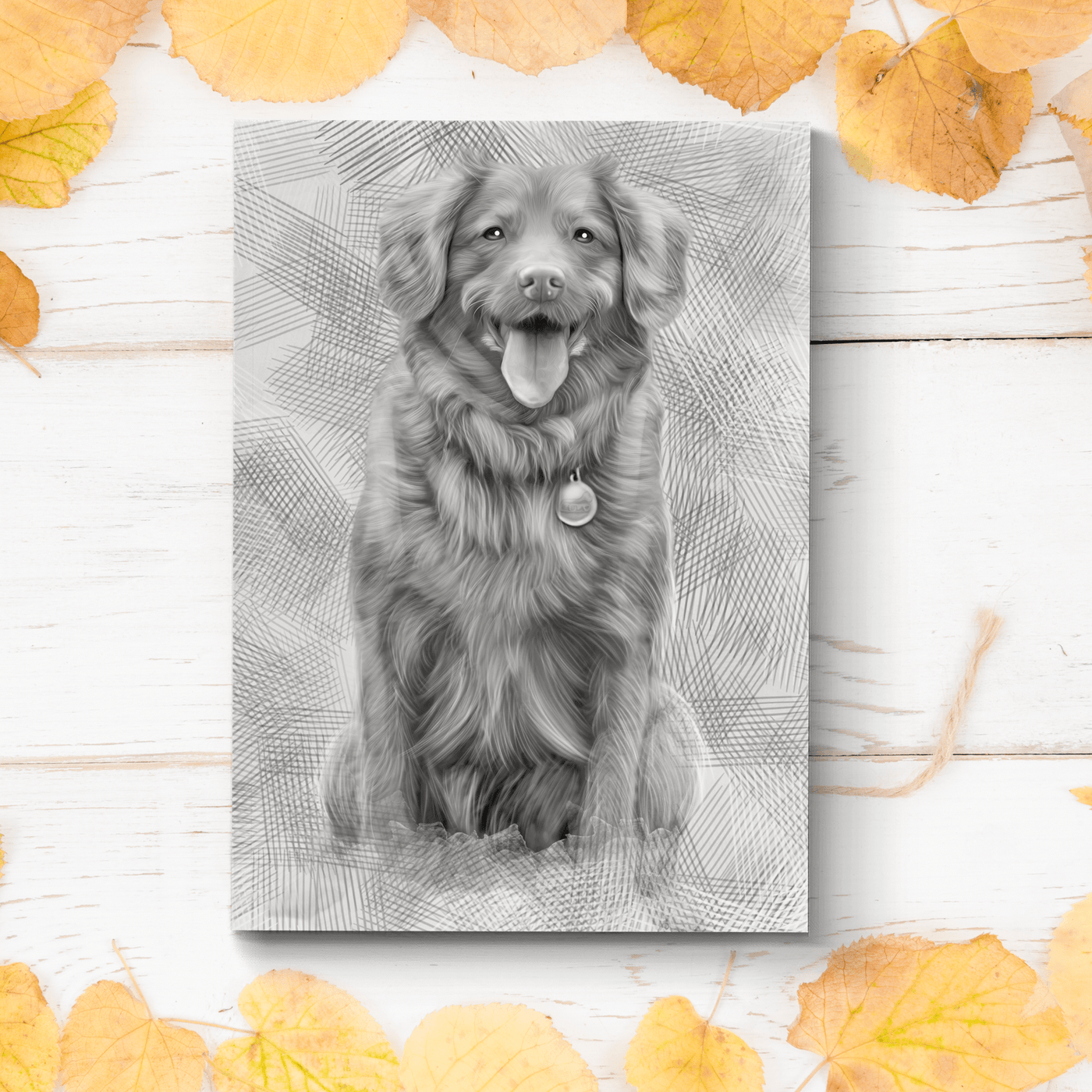 dog graphite drawing of an adorable dog