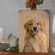 Custom Acrylic Pet Portraits