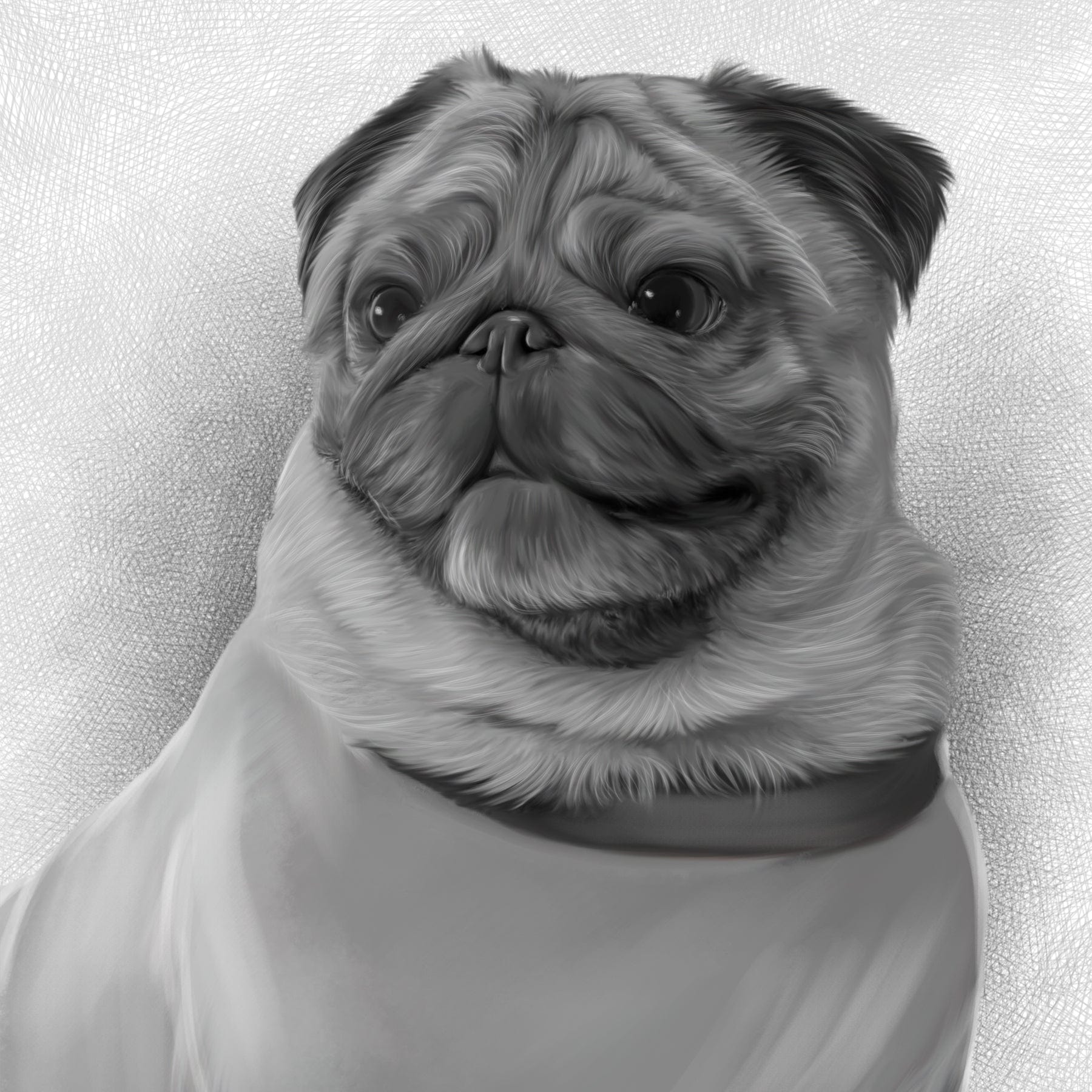 Custom Dog Pencil Drawing