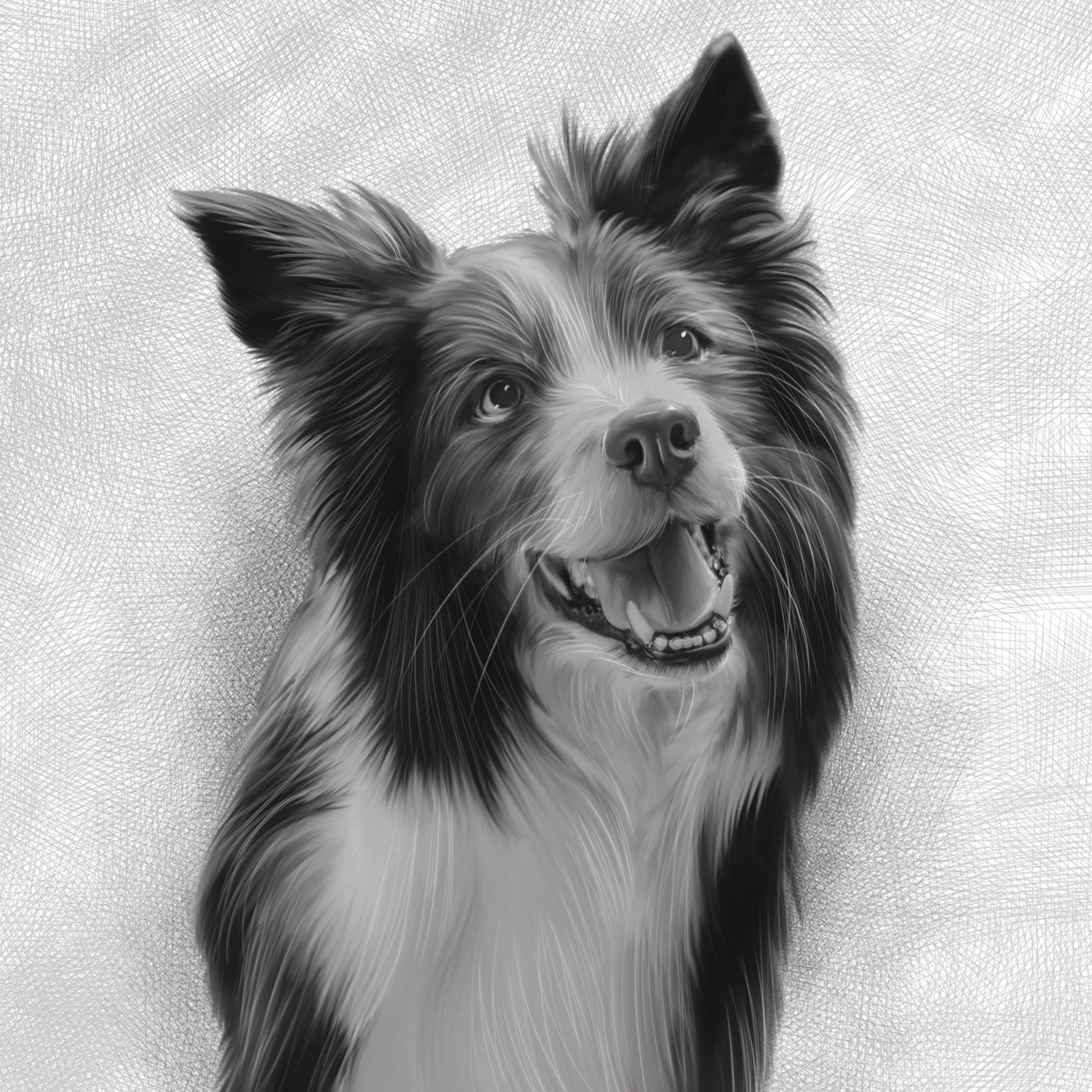 dog pencil drawing of a cute hairy dog drawn in black and white